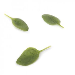 Compra ESPINACA ELAND RZ F1 (1.000.000 Semillas) en la tienda online Fito Agrícola