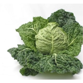 Compra COL SALIMA RZ F-1 Precisión (2.500 Semillas). en la tienda online Fito Agrícola