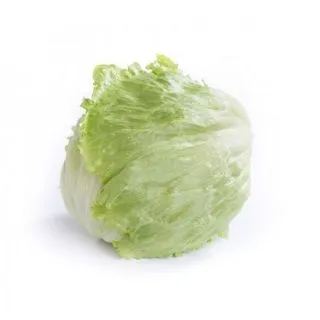 Compra LECHUGA KRYOGENIA RZ Pildorada (5.000 Semillas). en la tienda online Fito Agrícola