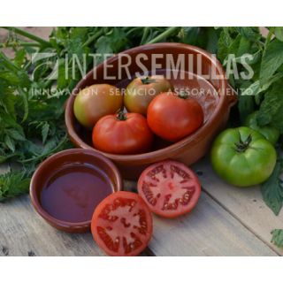 Compra TOMATE REBELDE F-1 (1000 Semillas) en la tienda online Fito Agrícola