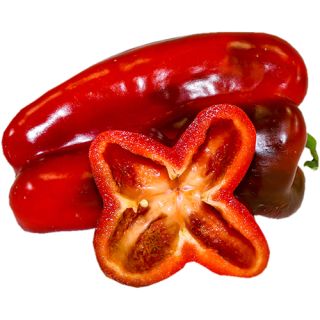 Compra PIMIENTO VIGGO F1 (1.000 Semillas). en la tienda online Fito Agrícola