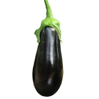 Compra BERENJENA BEUNO F-1 (1.000 Semillas) en la tienda online Fito Agrícola