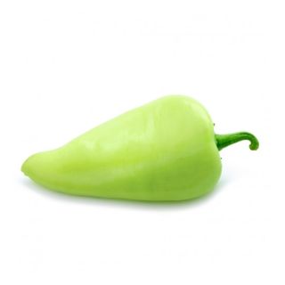 Compra PIMIENTO OURENSE MS6 en la tienda online Fito Agrícola