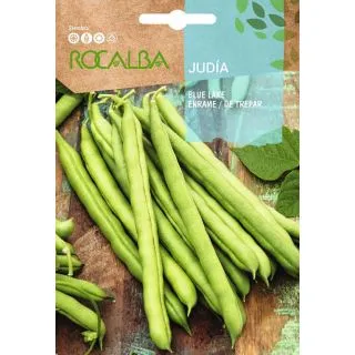 Compra JUDÍA BLUE LAKE (1 Kgr.). en la tienda online Fito Agrícola
