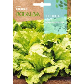 Compra LECHUGA DE PIERRE BENITE (100 gr.). en la tienda online Fito Agrícola