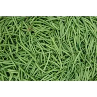 Compra JUDÍA GAUDI (1 Kgr.). en la tienda online Fito Agrícola