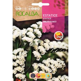 Compra ESTATICE SINUATA BLANCO (0,5 gr.). en la tienda online Fito Agrícola