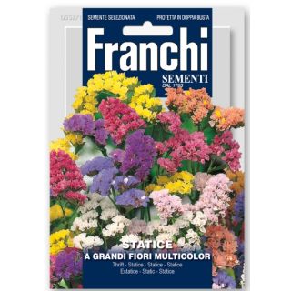 Compra ESTATICE SINUATA MULTICOLOR (10 gr.). en la tienda online Fito Agrícola