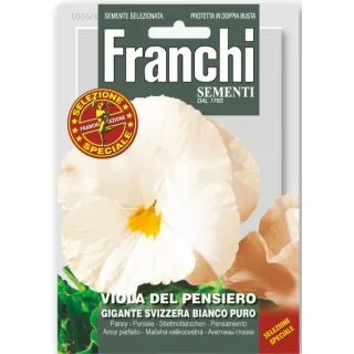 Compra PENSAMIENTO GIGANTE SUIZO BLANCO (10 gr.). en la tienda online Fito Agrícola