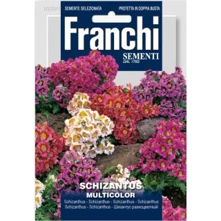 Compra SCHIZANTUS (50 gr.). en la tienda online Fito Agrícola