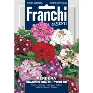 Compra VERBENA HIBRIDA GRANDIFLORA MULTICOLOR (50 gr.). en la tienda online Fito Agrícola