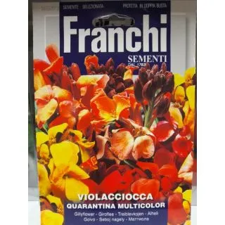 Compra VIOLACCIOCCA QUARANTINA PERENNE (50 gr.). en la tienda online Fito Agrícola