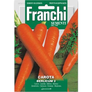 Compra ZANAHORIA BERLICUM (100 gr.). en la tienda online Fito Agrícola