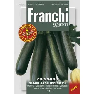Compra CALABACÍN BLACK STAR F1 (500 gr.). en la tienda online Fito Agrícola