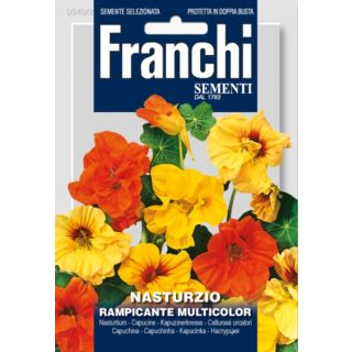 Compra CAPUCHINA TREPADORA VARIADA (100 gr.). en la tienda online Fito Agrícola