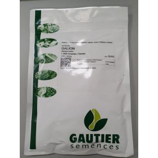 Compra JUDÍA GALION (1000 Semillas). en la tienda online Fito Agrícola