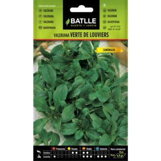 Compra CANÓNIGO VERDE DE LOUVIERS (6 gr.). en la tienda online Fito Agrícola