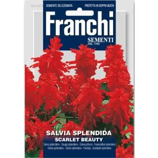 Compra SALVIA SPLENDENS ALTA SCARLET BEAUTY (10 gr.). en la tienda online Fito Agrícola