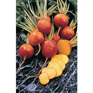 Compra REMOLACHA BURPEES GOLDEN (50 gr.). en la tienda online Fito Agrícola