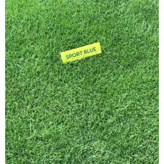 Compra CÉSPED SPORT BLUE (10 Kgr.). en la tienda online Fito Agrícola