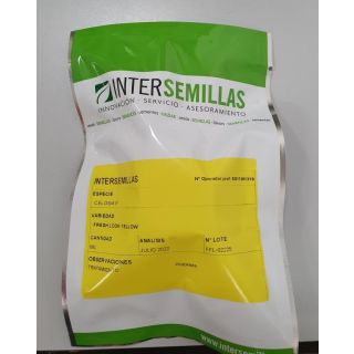 Compra CELOSÍA PLUMOSA FRESH LOOK YELLOW Pildorada (1.000 Semillas) en la tienda online Fito Agrícola