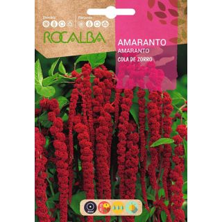 Compra AMARANTO COLA DE ZORRO (10 gr.). en la tienda online Fito Agrícola