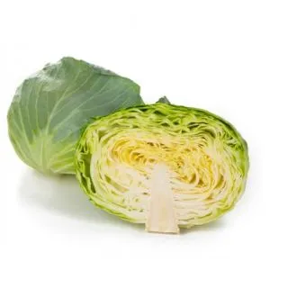 Compra COL MADALYA RZ F1 Precisión (2.500 Semillas). en la tienda online Fito Agrícola