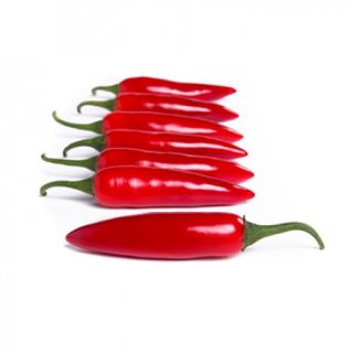 Compra PIMIENTO CHIRACHA RZ F1 Precisión (1000 semillas). en la tienda online Fito Agrícola
