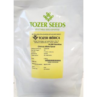 Compra CHIRIVÍA WHITE SPEAR (10.000 Semillas) en la tienda online Fito Agrícola