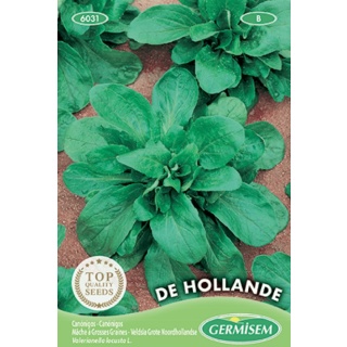 Compra CANÓNIGO DE HOLANDA (100 gr.). en la tienda online Fito Agrícola