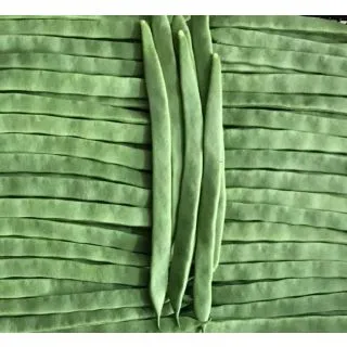 Compra JUDÍA GLORIA - NCC (1.000 Semillas) en la tienda online Fito Agrícola