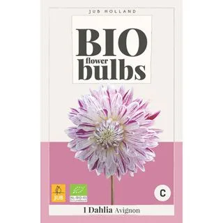 Compra DALIA AVIGNON BIO en la tienda online Fito Agrícola
