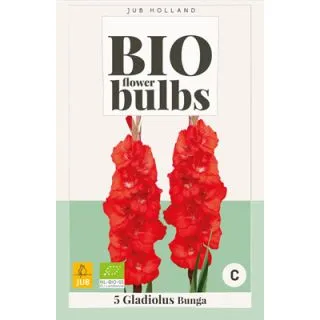 Compra GLADIOLO BUNGA BIO en la tienda online Fito Agrícola