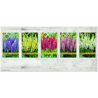 Compra LUPINUS Cofre (75 Unid.) en la tienda online Fito Agrícola