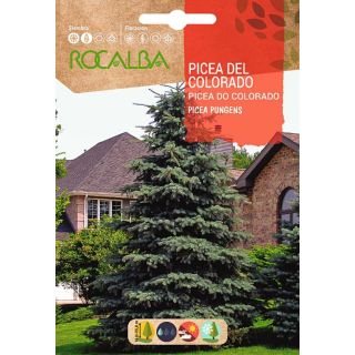 Compra PICEA DEL COLORADO (0,5 gr.). en la tienda online Fito Agrícola
