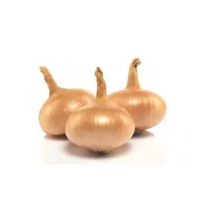 Compra CEBOLLA PAJA VIRTUDES MB50 en la tienda online Fito Agrícola