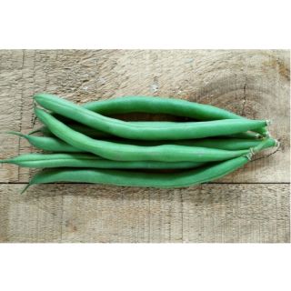 Compra JUDÍA BARCINO (5 Kgr.). en la tienda online Fito Agrícola