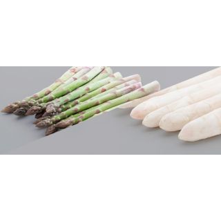 Compra ESPÁRRAGO DARVADOR (150 garras) en la tienda online Fito Agrícola