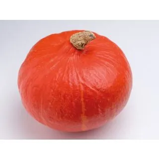 Compra CALABAZA KAORI KURI F1 (1000 Semillas). en la tienda online Fito Agrícola