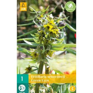 Compra FRITILLARIA GREEN EYES en la tienda online Fito Agrícola
