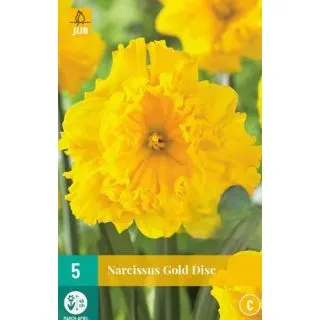 Compra NARCISOS GOLD DISC en la tienda online Fito Agrícola