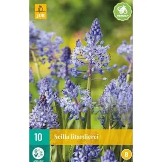 Compra SCILLA LITARDIEREI en la tienda online Fito Agrícola