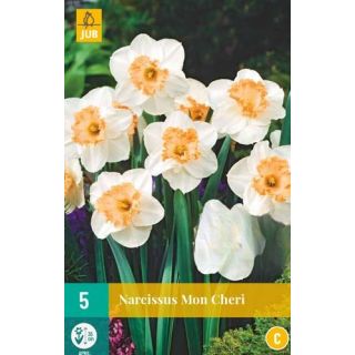 Compra NARCISOS MON CHERI en la tienda online Fito Agrícola