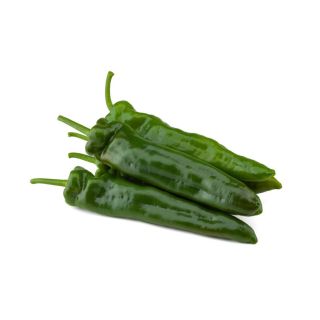 Compra PIMIENTO MESSI F1 (1.000 Semillas) en la tienda online Fito Agrícola