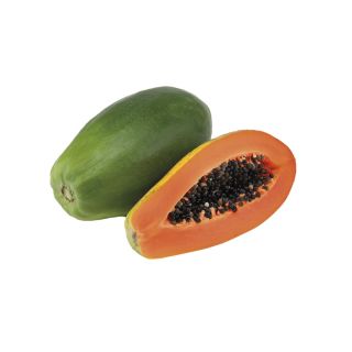 Compra PAPAYA CABALLERO F1 (2.500 Semillas) en la tienda online Fito Agrícola