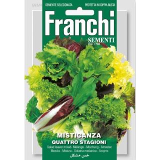 Compra LECHUGA MEZCLA CUATRO ESTACIONES (50 gr.). en la tienda online Fito Agrícola