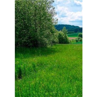 Compra REVEGETACIÓN ATLÁNTICA (20 Kgr.) en la tienda online Fito Agrícola