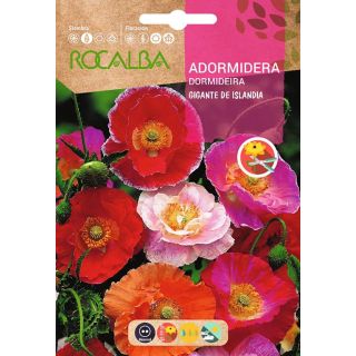 Compra ADORMIDERA GIGANTE DE ISLANDIA (1 gr.). en la tienda online Fito Agrícola