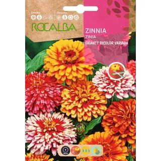 Compra ZINNIA GIGANTE BICOLOR VARIADA (6 gr.). en la tienda online Fito Agrícola