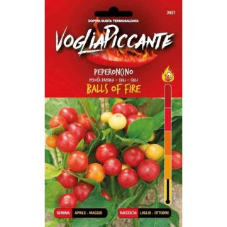 Compra PIMIENTO BALLS OF FIRE (0,1 gr.). en la tienda online Fito Agrícola